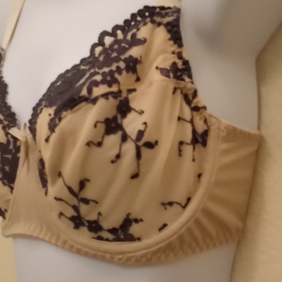Curve Muse Embroidered Lace & Mesh Bra - Picture 2 of 16